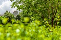 هدف ما؛ ارائه روایت سازمانی فولاد مبارکه از دریچه‌ای حرفه‌ای‌تر به مخاطب