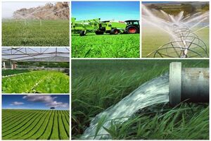 روستائیان در برنامه ریزی و ارزیابی پروژه های کشاورزی همکاری کنند