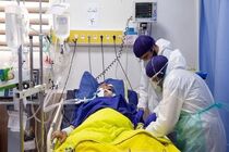 آخرین آمار کرونا در کشور ۱ فروردین ۱۴۰۲/ طی شبانه روز گذشته ۷۴۳ نفر به کرونا مبتلا و ۲۲ نفر فوت شده‌اند