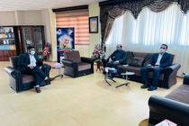 از ظرفیت بسیج برای کنترل و نظارت بازار ایلام استفاده شود