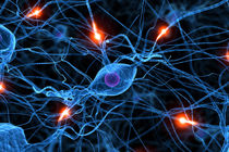 مرکز سخاوت مغز شناسایی شد