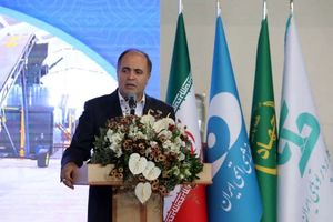 بیمه گندم اجباری است