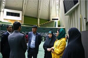 بازدید رئیس مجلس نمایندگان آفریقای جنوبی از صحن مجلس شورای اسلامی