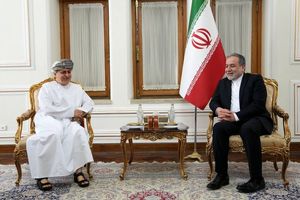 سفیر سلطنت عمان در پایان مأموریت خود با عراقچی گفتگو کرد