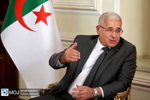  برای هرگونه همکاری مشترک با تهران برای حل بحران فلسطین اعلام آمادگی می‌کنیم