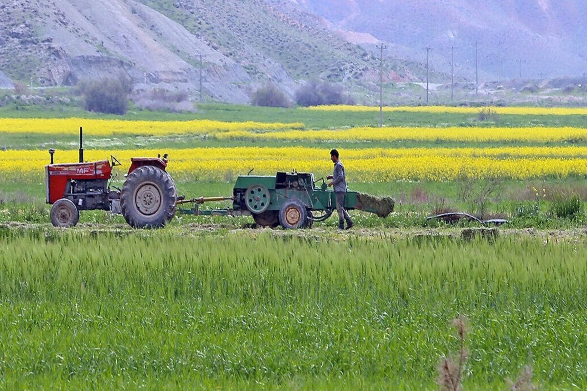 کشاورزی
