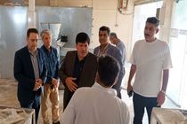 بازدید سرپرست فرمانداری مهران از واحدهای نانوایی شهر 