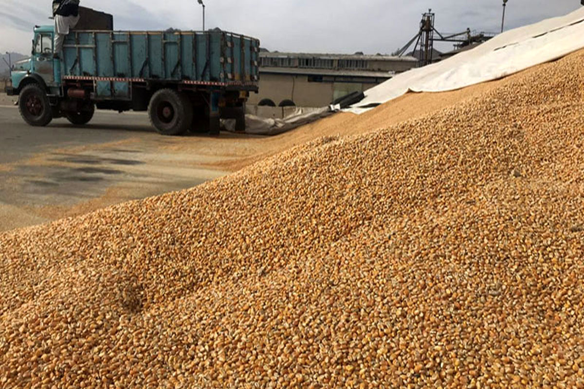 توزیع نهاده‌های دامی