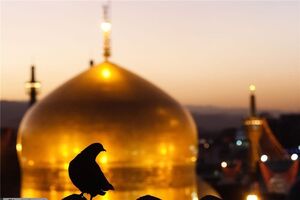 تامین امنیت و رفاه حال زائران در شب های قدر صورت می گیرد