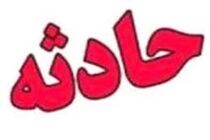 7مصدوم بر اثر واژگونی خودروی سواری در جاده زرین شهر