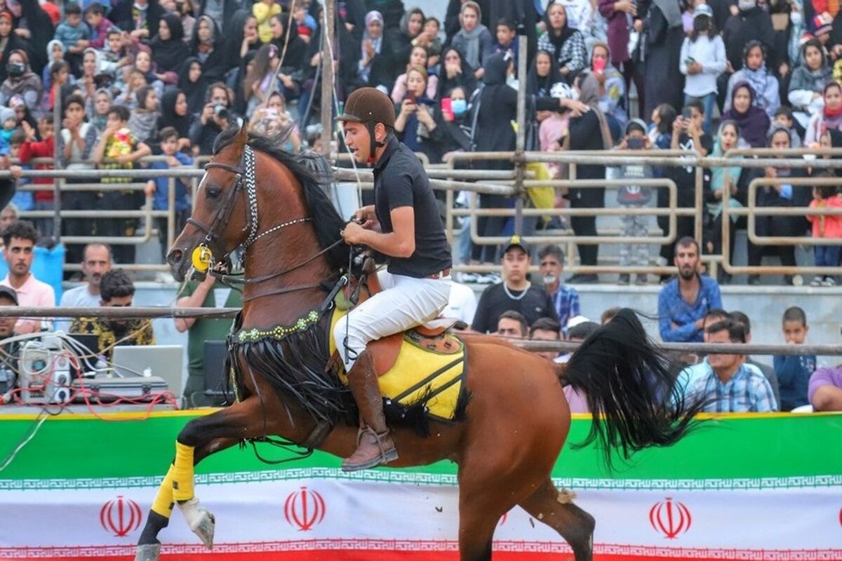 همایش اسب سواری3