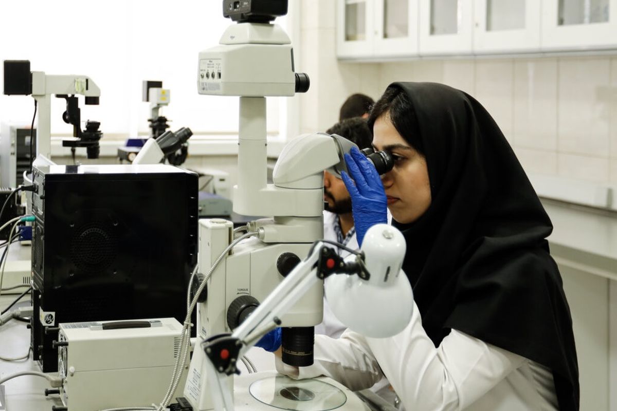 نظام پزشکی