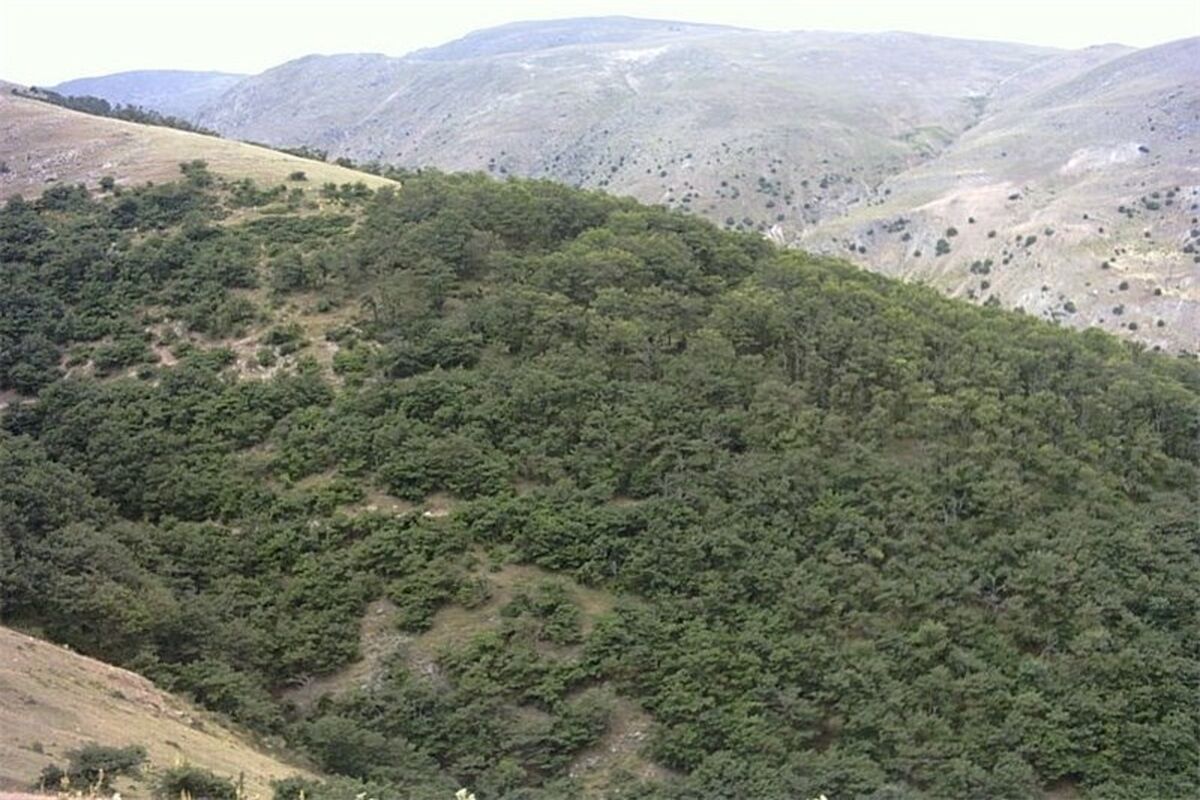 سبزکوه
