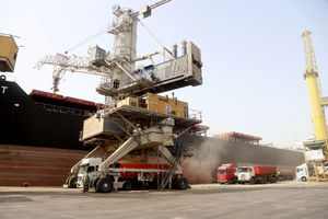 تخلیه 121 هزار و 500 تن  گندم در بزرگترین بندر تجاری ایران