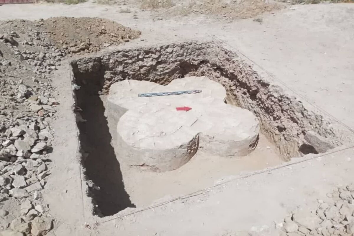 عکس میراث