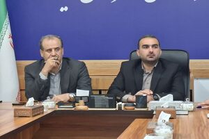 سهمیه آرد میاندورود بازنگری می‌شود/ اختصاص تسهیلات ۱۰۰ میلیون تومانی به نانوایان
