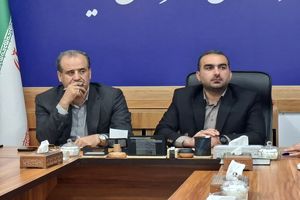 سهمیه آرد میاندورود بازنگری می‌شود/ اختصاص تسهیلات ۱۰۰ میلیون تومانی به نانوایان