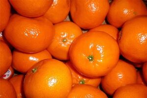 استقبال پاکستان از آزاد شدن واردات نارنگی این کشور به ایران