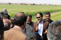 روح قانون «حفظ کاربری» کمک به بخش کشاورزی است