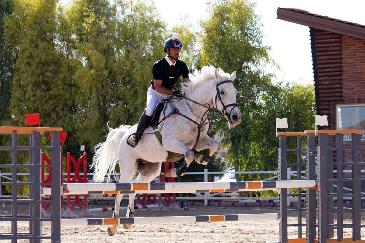 مسابقات سوارکاری 