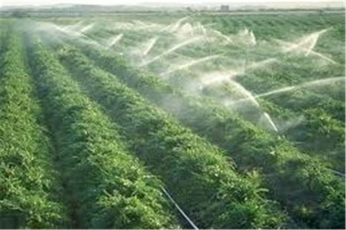 آبرسانی 