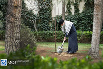 کاشت نهال توسط مقام معظم رهبری