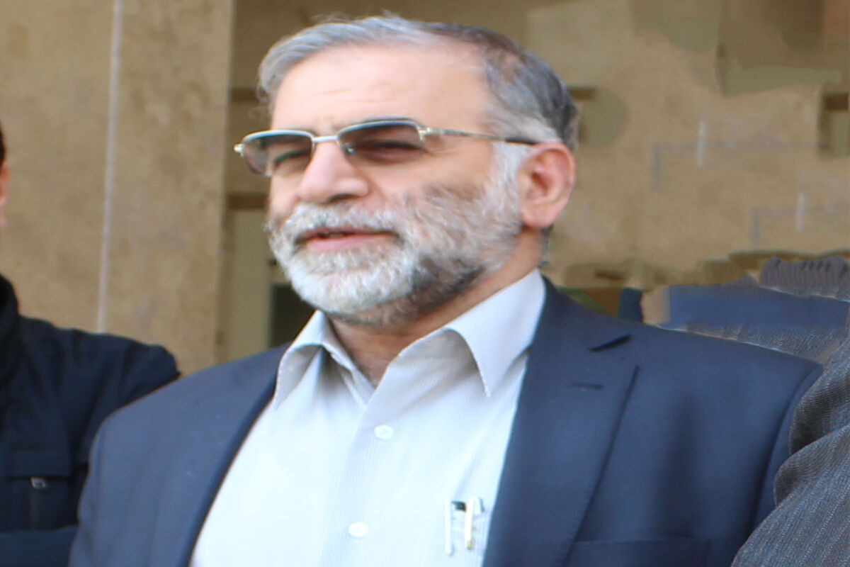 محسن فخری زاده