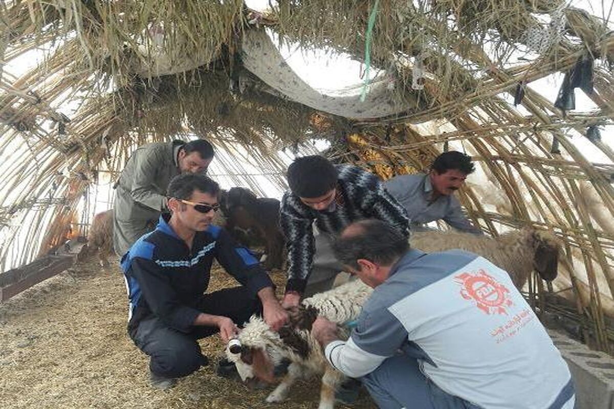 خدمات رسانی به مناطق زلزله زده کرمانشاه