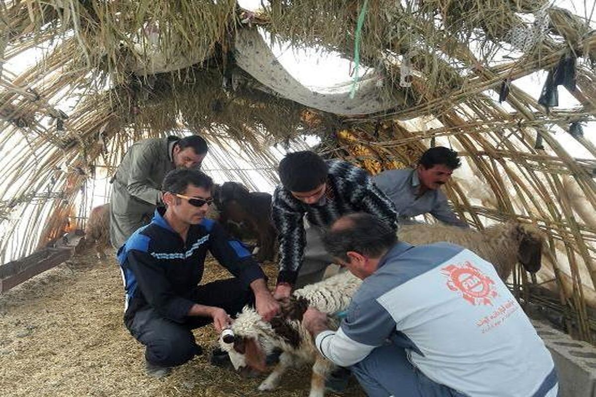 خدمات رسانی به مناطق زلزله زده کرمانشاه