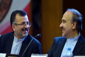 سلطانی فر با استعفای محمدرضا داورزنی موافقت کرد