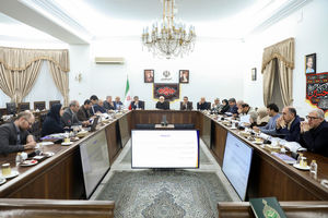 اصول و ضوابط ساماندهی نهادهای شورایی تصویب شد