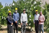 اشتغالزایی آسیب‌های اجتماعی را مهار می‌کند