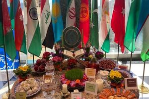 وزیر میراث‌ فرهنگی از کشورهای حوزه نوروز برای نزدیکی ملت‌ها و تعمیق همکاری‌ها دعوت کرد