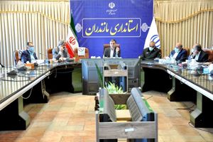 دست های نامرئی دلالان در واردات باید توسط دستگاه های نظارتی شناسایی و قطع شود