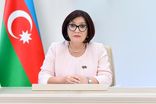 رئیس مجلس جمهوری آذربایجان به تهران وارد شد