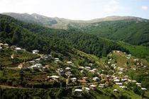 جبران کمبودهای استفاده از چوب از معایب طرح تنفس جنگل است