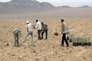 از یک دبستان در راستای اجرای طرح ترسیب کربن بهره‌برداری شد