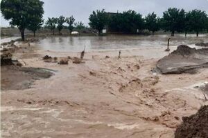 سیل در هرمزگان خسارت 2 هزارو 500 میلیاردی به بار آورد