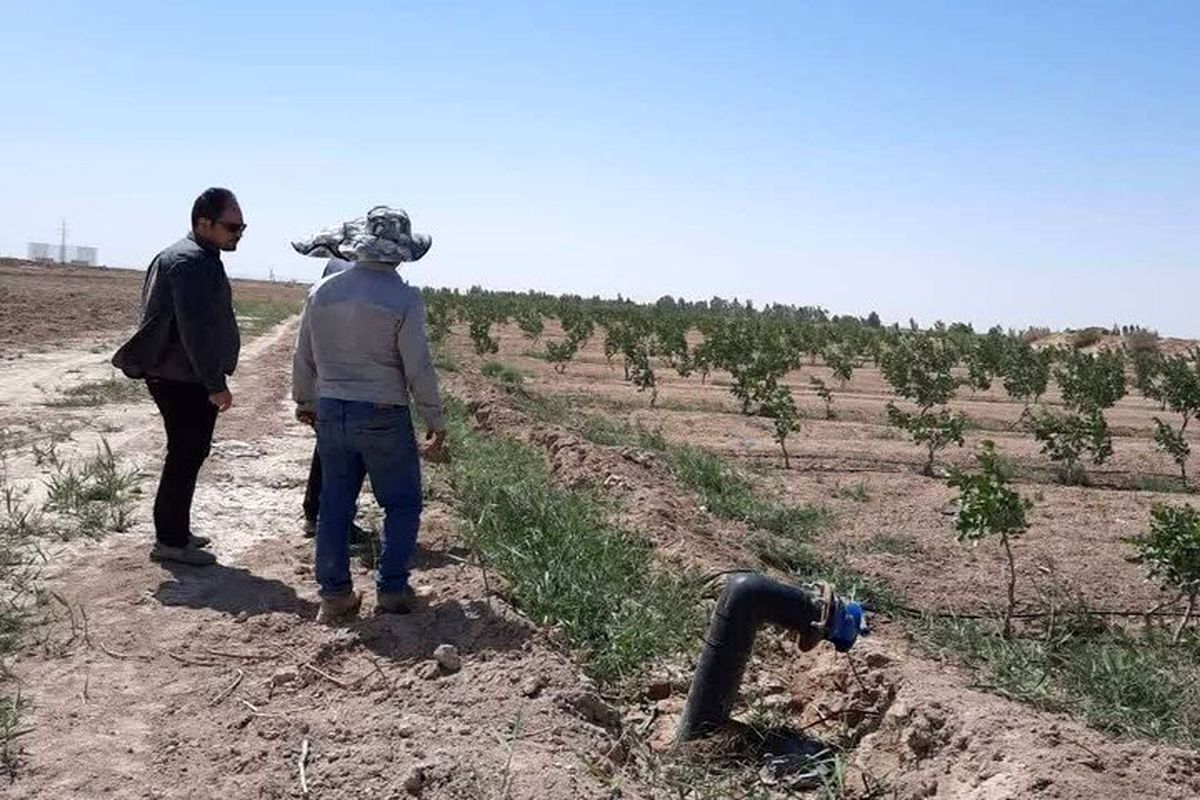 آبیاری