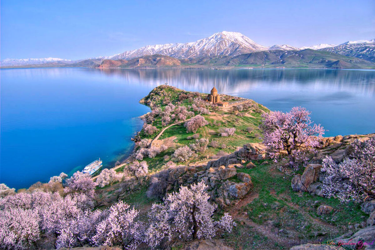 وان