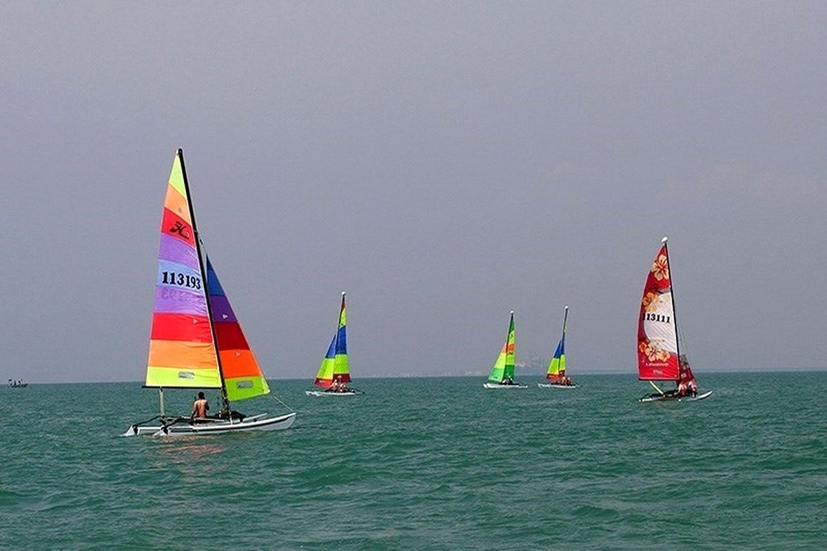 رشته بادبانی