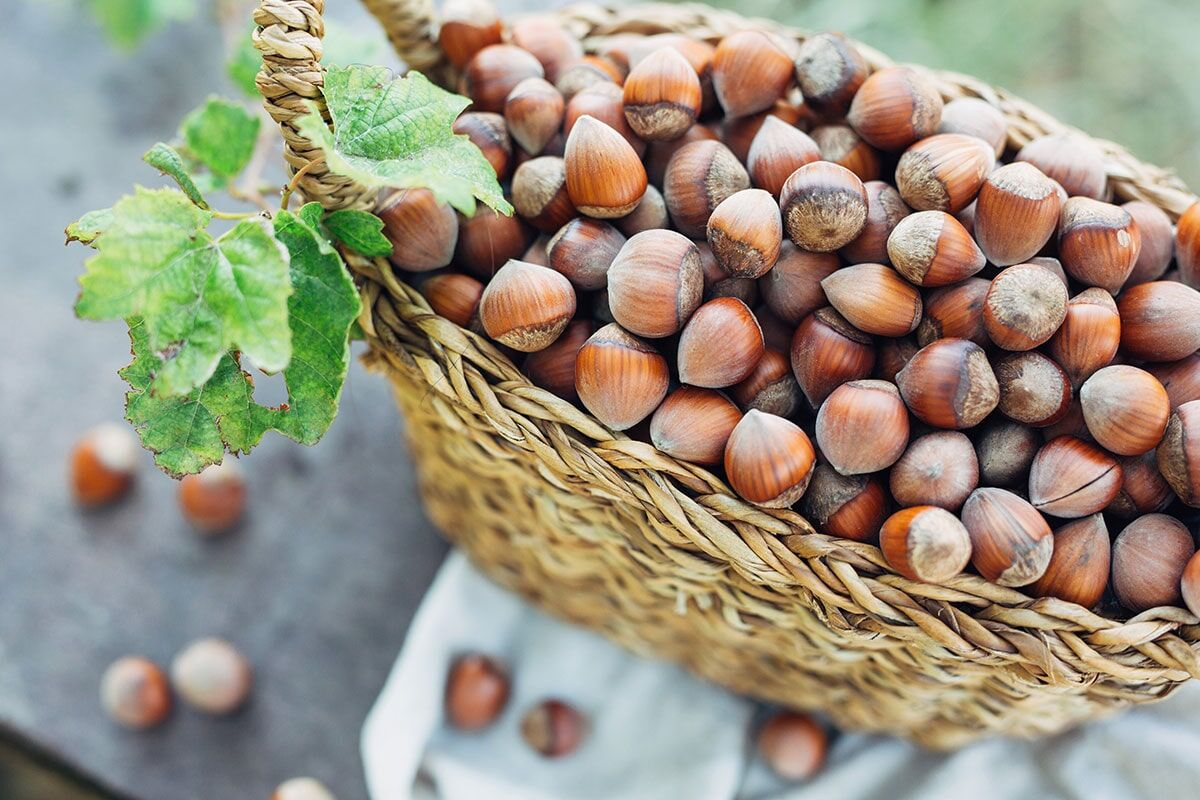 فندوق قزوین