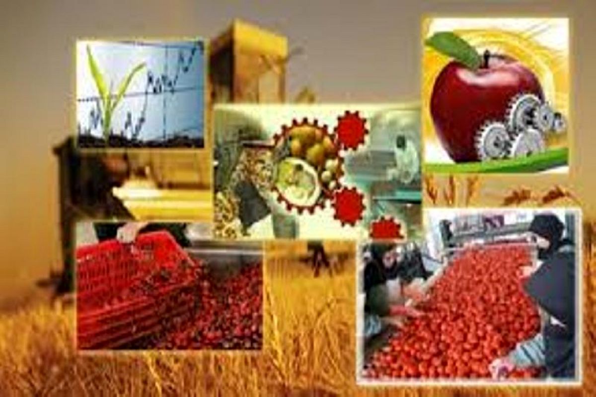 طرح روستا بازار