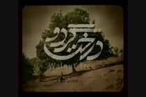 رونمایی از گریم متفاوت مهران مدیری در فیلم درخت گردو