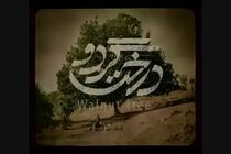 درخت گردو و مردن در آب مطهر پروانه نمایش گرفتند