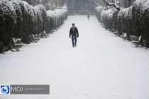 فریدونشهر پربارش‌ترین شهرستان طی شبانه روز گذشته در استان اصفهان