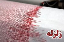 کرمان لرزید