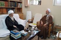 دیدار و گفت‌وگوی مدیر حوزه‌های علمیه با آیت‌الله صافی گلپایگانی