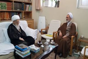 دیدار و گفت‌وگوی مدیر حوزه‌های علمیه با آیت‌الله صافی گلپایگانی