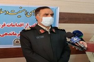 کشف بیش از 9 تن مرغ زنده خارج از شبکه توزیع در بدره